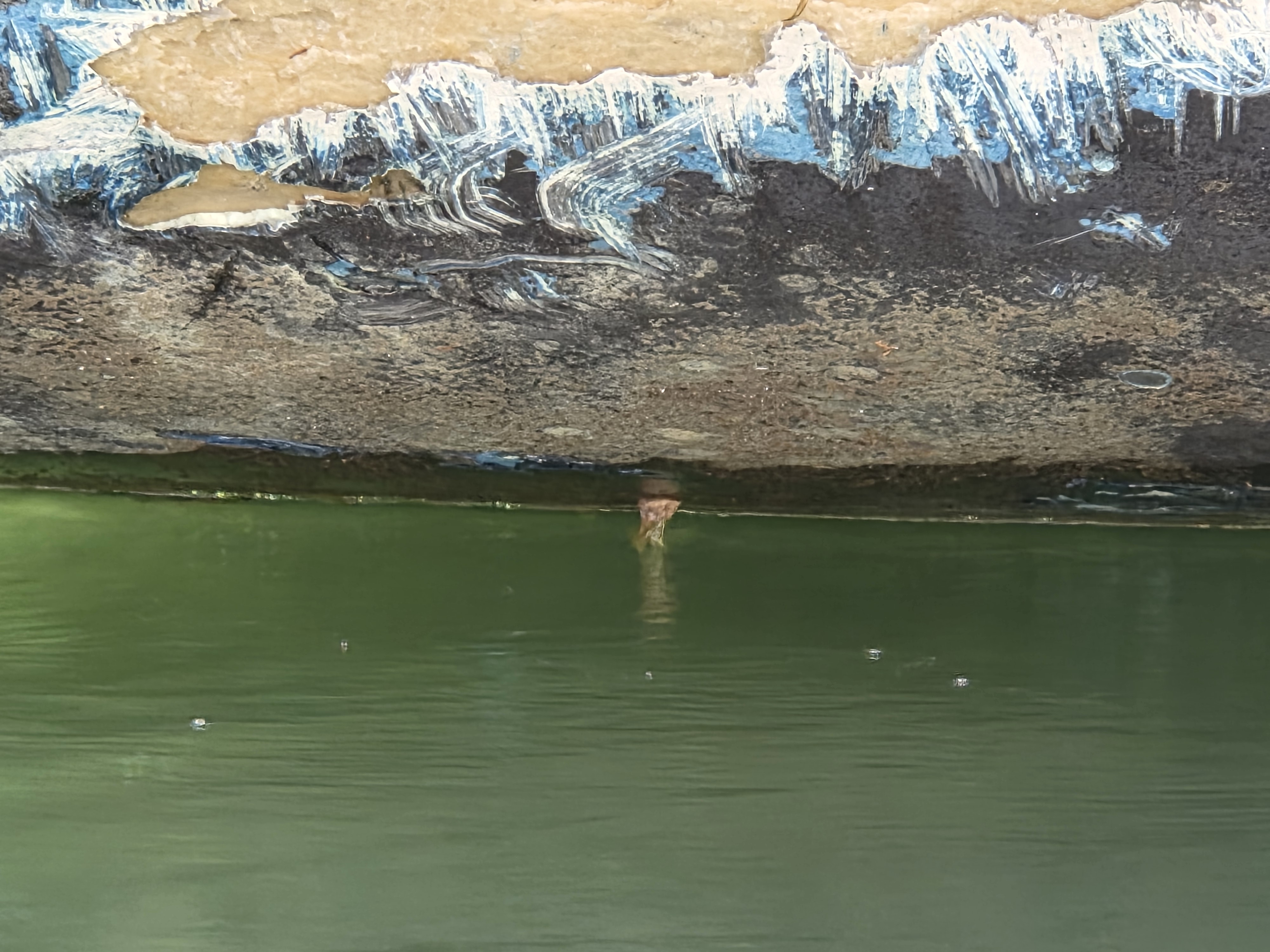 View along the underside of the hull at the waterline after refloat, fitting hanging into the green water